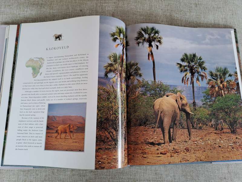 African Elephants: A Celebration of Majesty - Daryl & Sharna Balfour