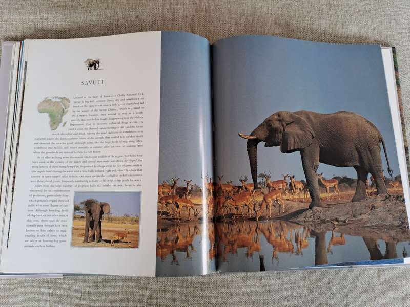 African Elephants: A Celebration of Majesty - Daryl & Sharna Balfour