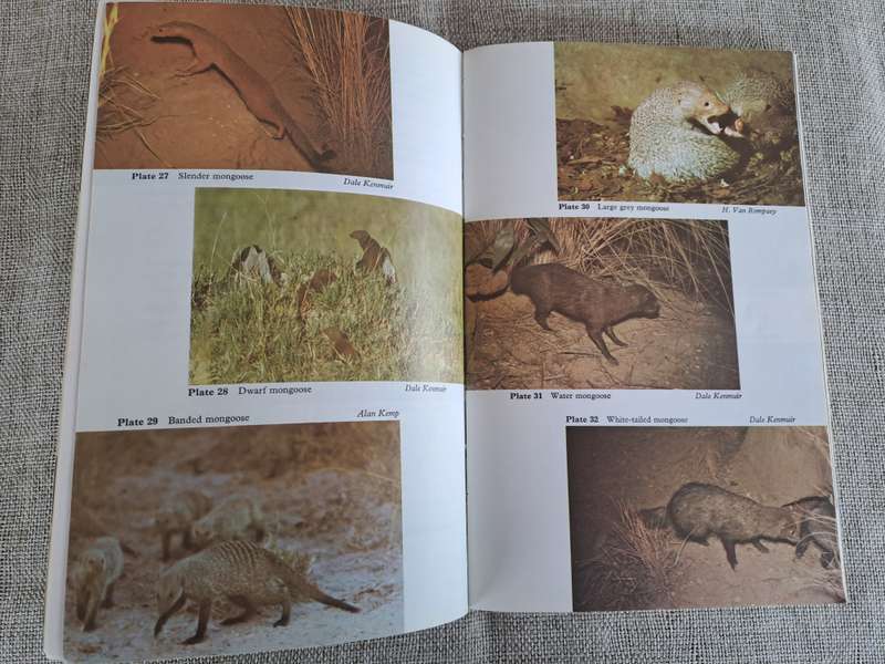 Wild Mammals (Bundu Series):  A field guide and introduction to the mammals of Zimbabwe
