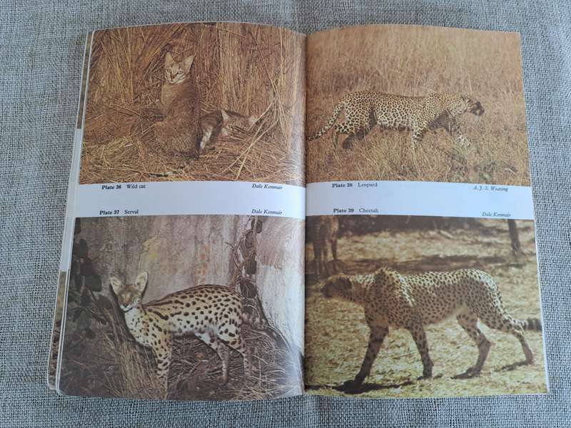 Wild Mammals (Bundu Series):  A field guide and introduction to the mammals of Zimbabwe