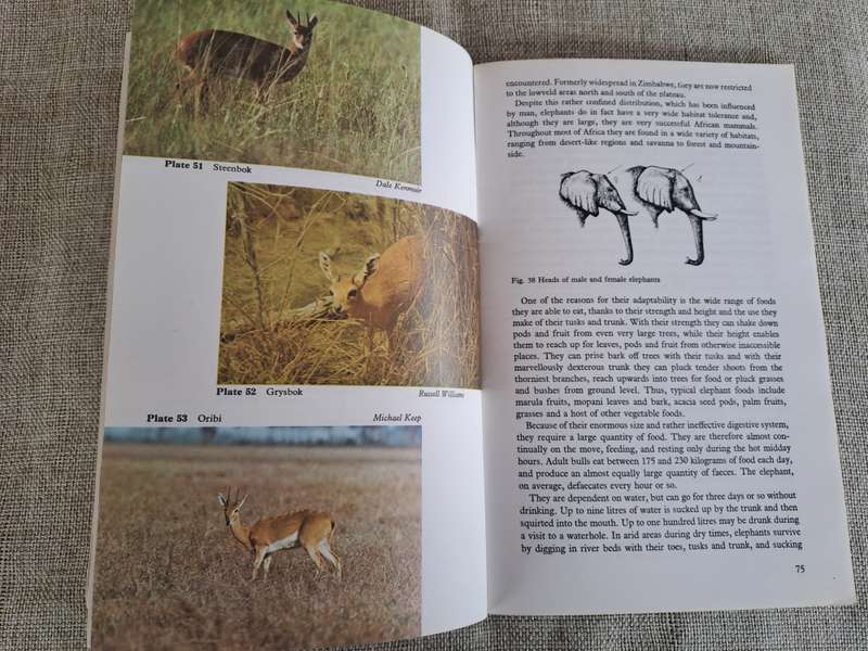 Wild Mammals (Bundu Series):  A field guide and introduction to the mammals of Zimbabwe