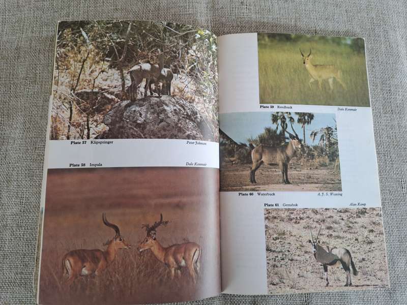 Wild Mammals (Bundu Series):  A field guide and introduction to the mammals of Zimbabwe