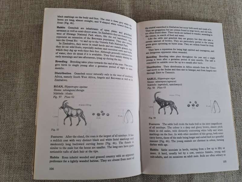 Wild Mammals (Bundu Series):  A field guide and introduction to the mammals of Zimbabwe