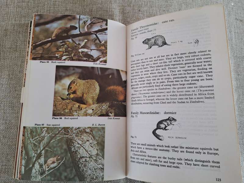 Wild Mammals (Bundu Series):  A field guide and introduction to the mammals of Zimbabwe