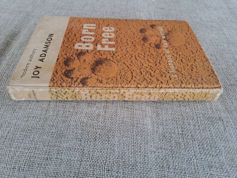 Born Free: A Lioness of Two Worlds - Joy Adamson