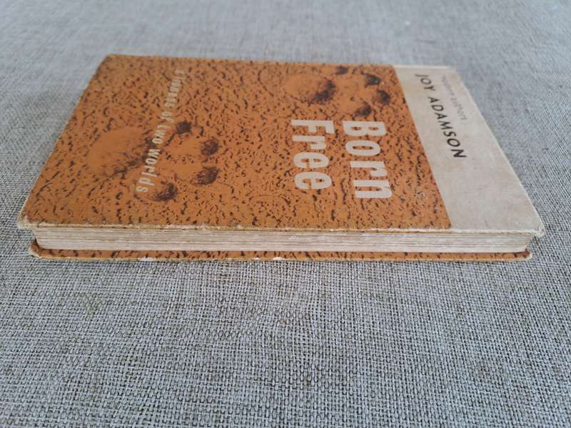 Born Free: A Lioness of Two Worlds - Joy Adamson