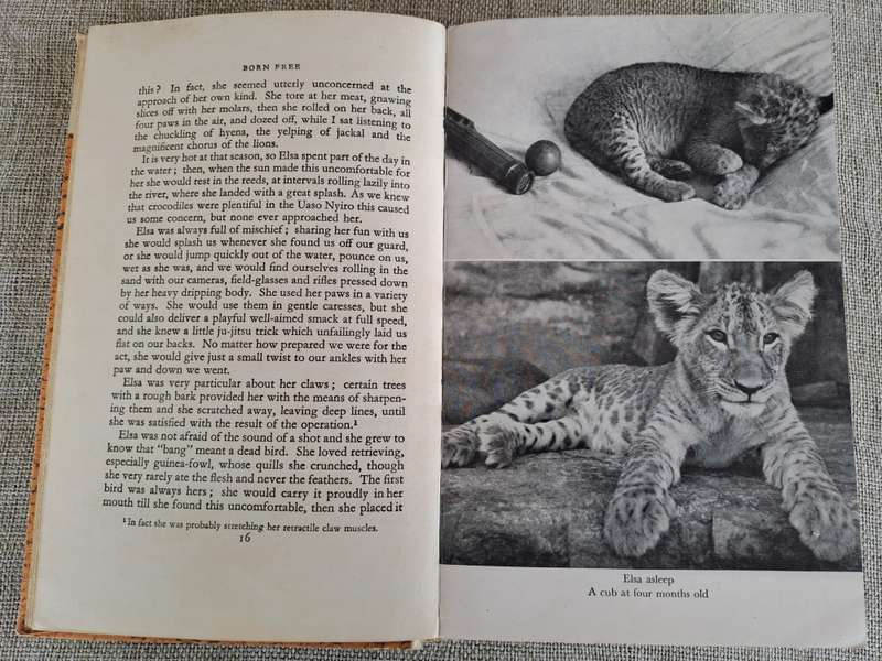 Born Free: A Lioness of Two Worlds - Joy Adamson