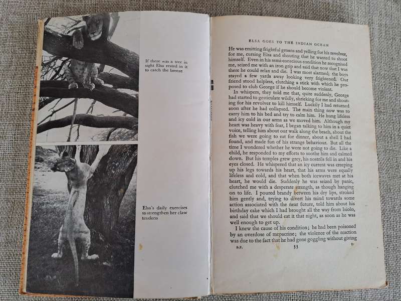 Born Free: A Lioness of Two Worlds - Joy Adamson