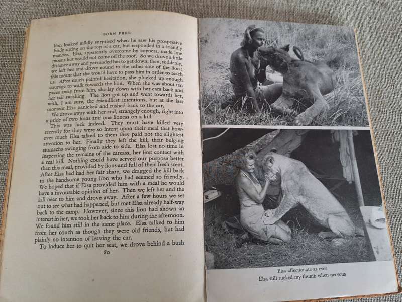 Born Free: A Lioness of Two Worlds - Joy Adamson
