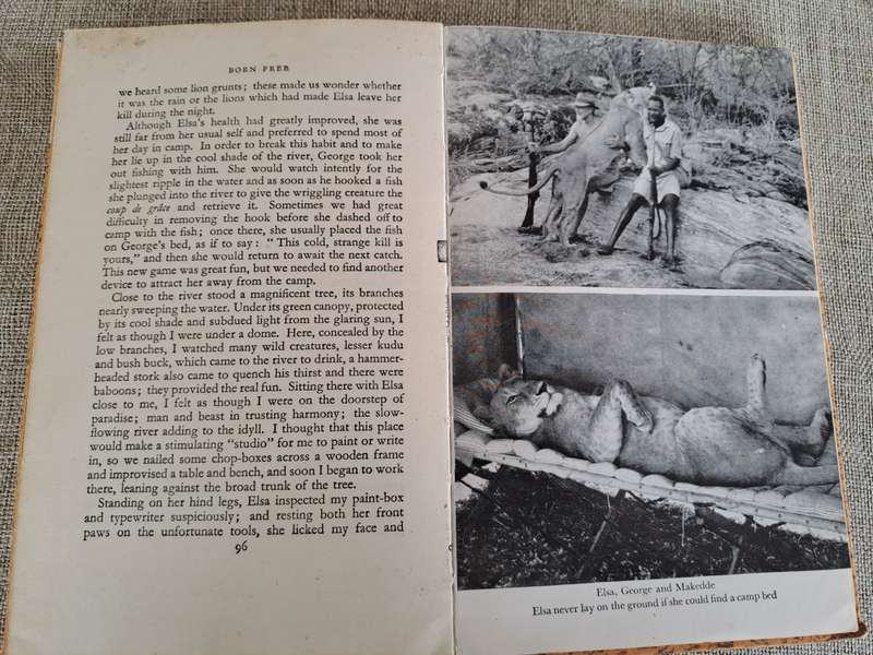 Born Free: A Lioness of Two Worlds - Joy Adamson