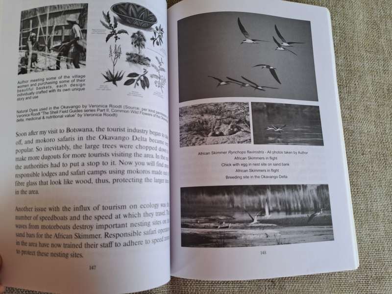Hokoyo: Silent Spoors and Parting Blades - SIGNED BY AUTHOR