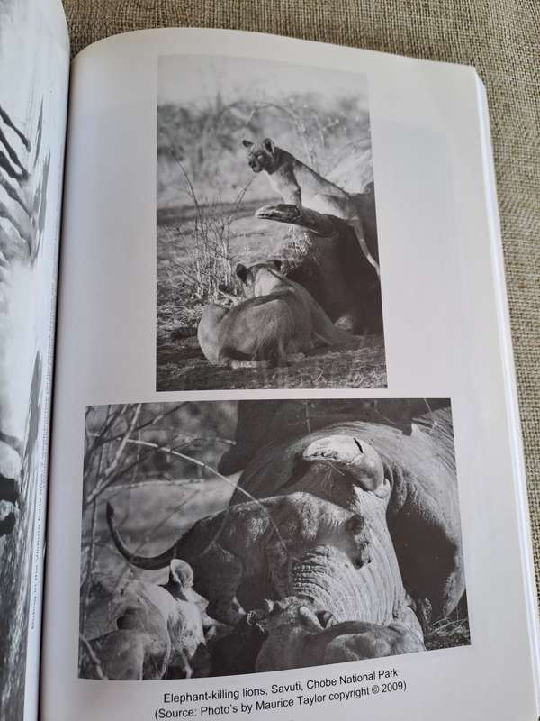 Hokoyo: Silent Spoors and Parting Blades - SIGNED BY AUTHOR