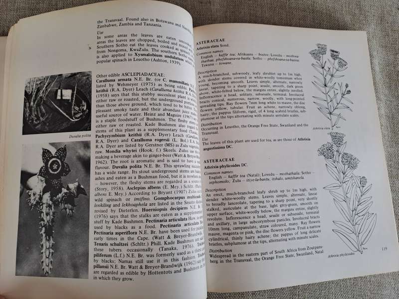 Food From the Veld: Edible wild plants of Southern Africa