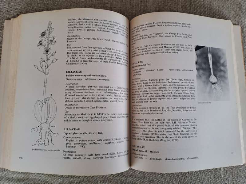 Food From the Veld: Edible wild plants of Southern Africa