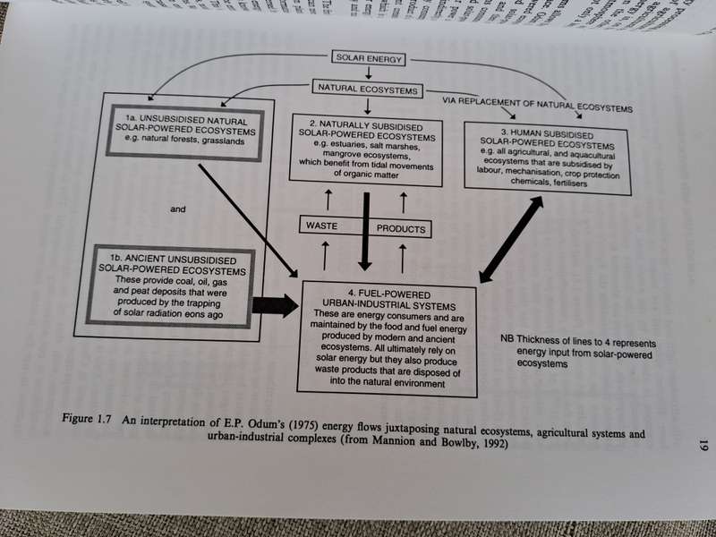 Agriculture and Environmental Change: Temporal and Spatial Dimensions