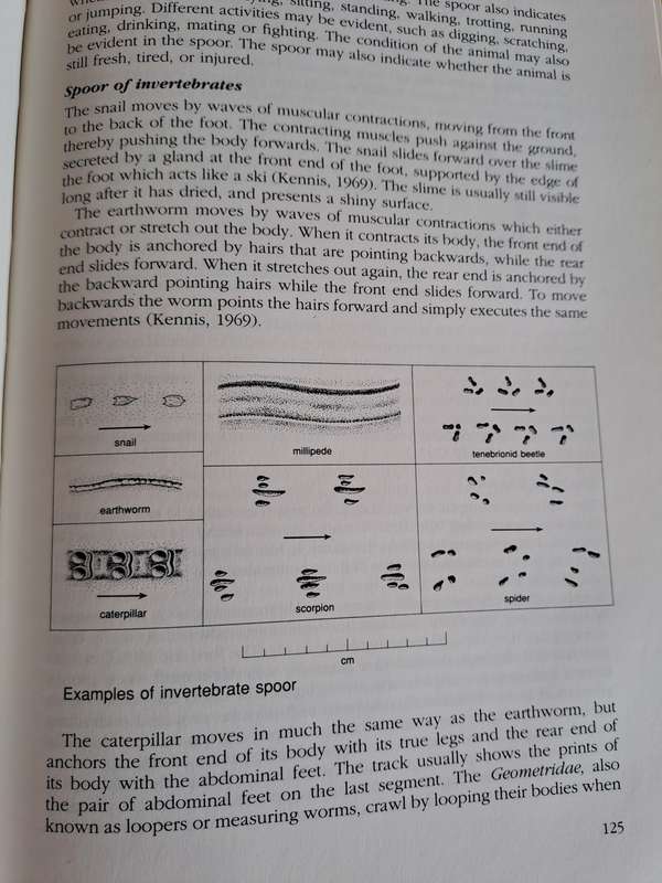 The Art of Tracking: The Origin of Science