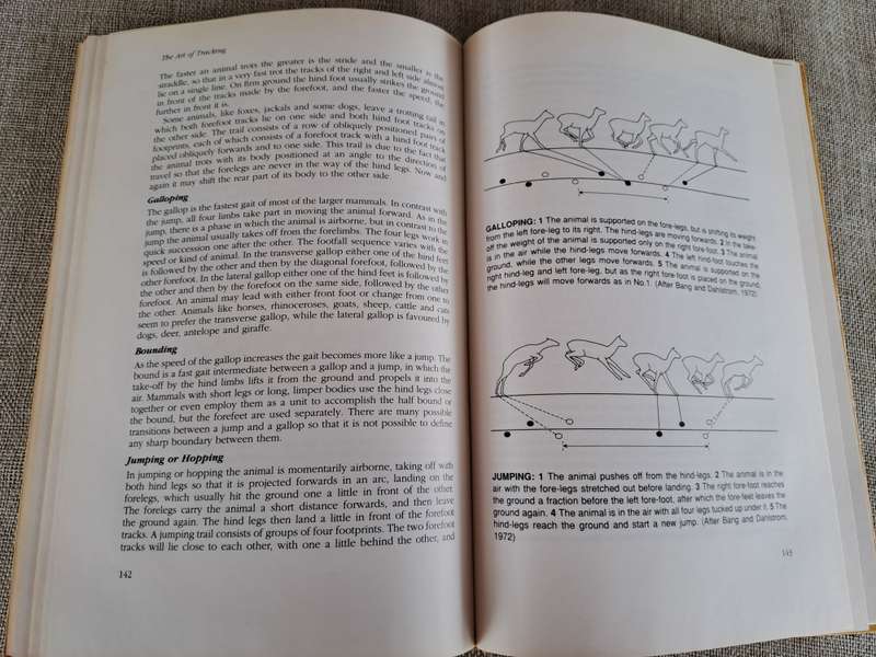 The Art of Tracking: The Origin of Science