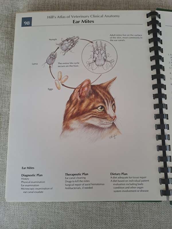Hills Atlas of Veterinary Clinical Anatomy