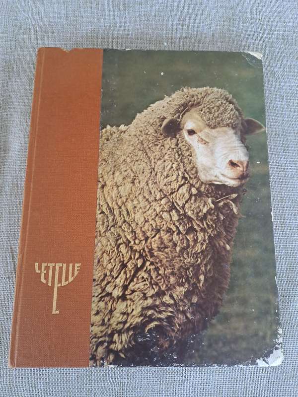 Letelle: The Development of a African Sheep
