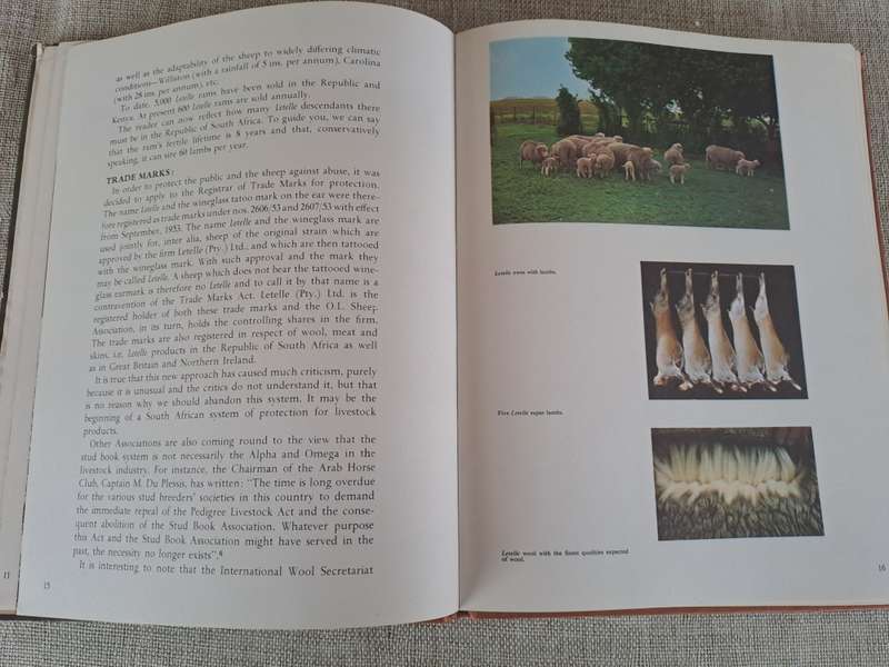 Letelle: The Development of a African Sheep