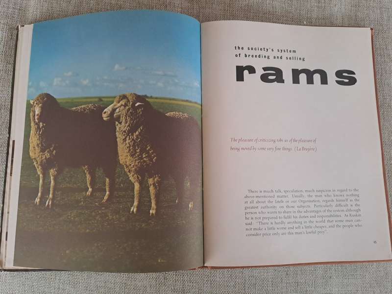 Letelle: The Development of a African Sheep