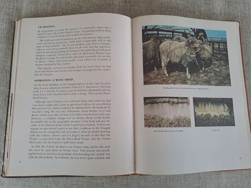 Letelle: The Development of a African Sheep