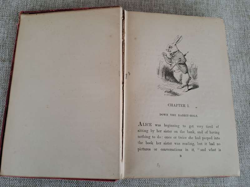Alice's Adventures in Wonderland 1886 - Lewis Carroll