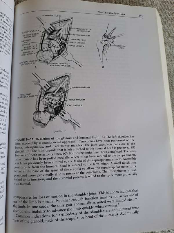 Handbook of Small Animal Orthopedics and Fracture Repair 3rd Edition