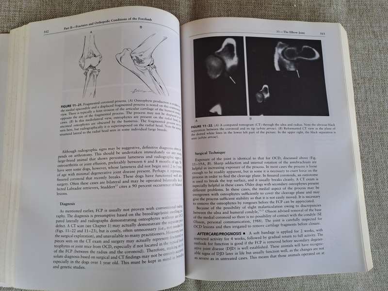 Handbook of Small Animal Orthopedics and Fracture Repair 3rd Edition