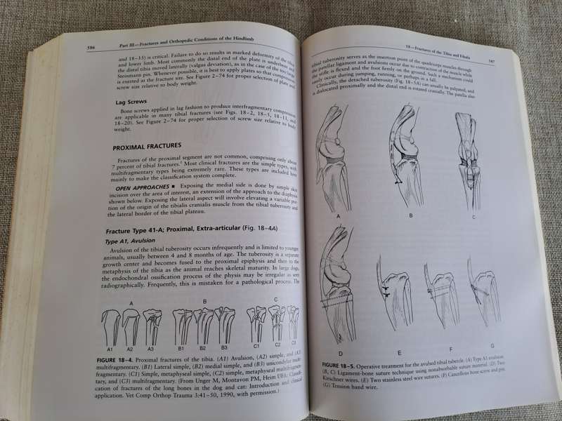 Handbook of Small Animal Orthopedics and Fracture Repair 3rd Edition