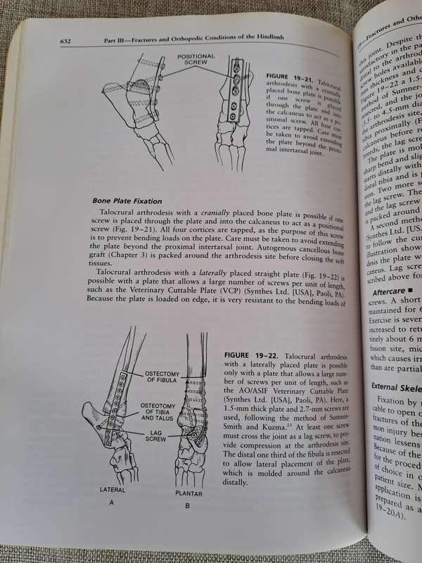 Handbook of Small Animal Orthopedics and Fracture Repair 3rd Edition