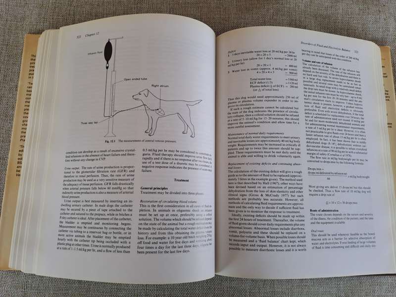 Canine Medicine and Therapeutics 2nd Edition