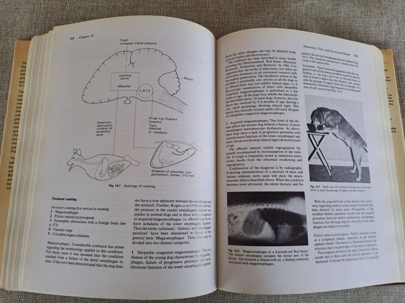 Canine Medicine and Therapeutics 2nd Edition