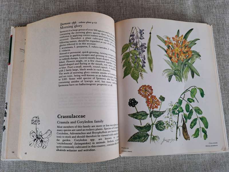 Poisonous Plants in South African Gardens and Parks: A field guide