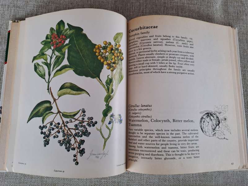 Poisonous Plants in South African Gardens and Parks: A field guide