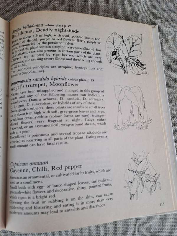 Poisonous Plants in South African Gardens and Parks: A field guide