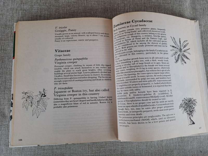 Poisonous Plants in South African Gardens and Parks: A field guide