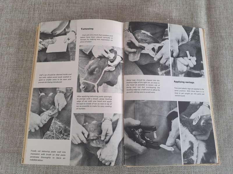 The Herdsman's Book