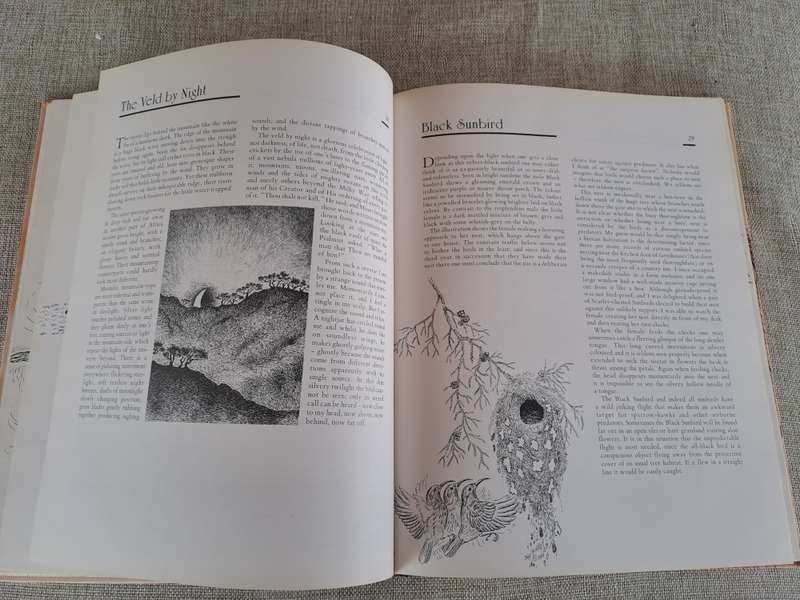 African Wildlife Sketches  Signed copy