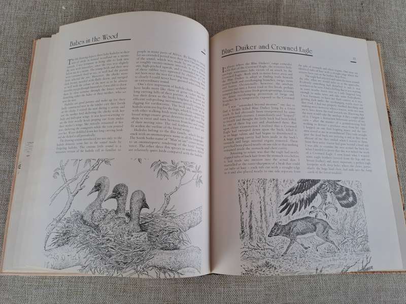 African Wildlife Sketches  Signed copy