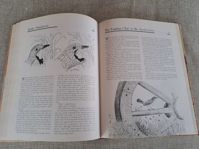 African Wildlife Sketches  Signed copy
