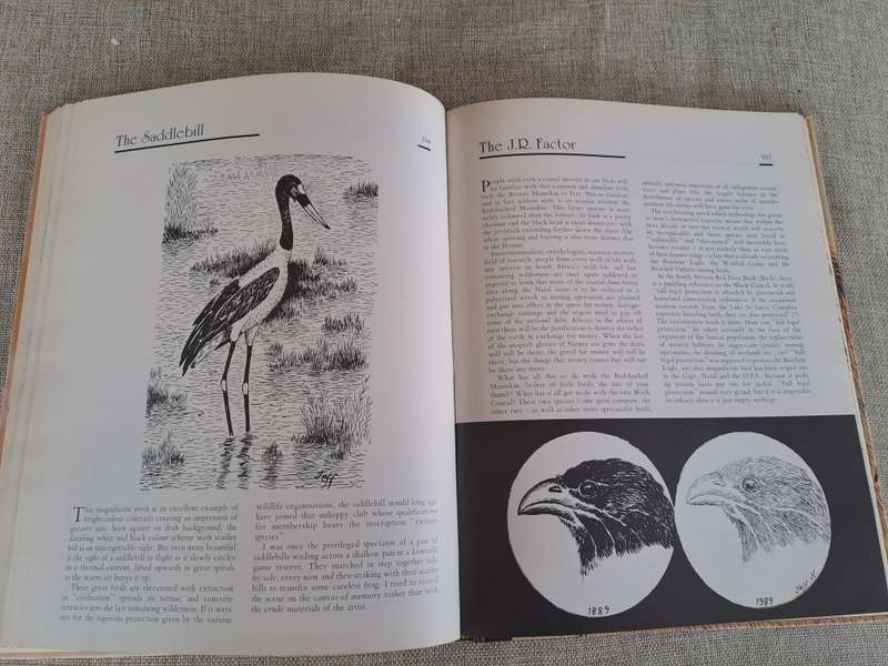 African Wildlife Sketches  Signed copy