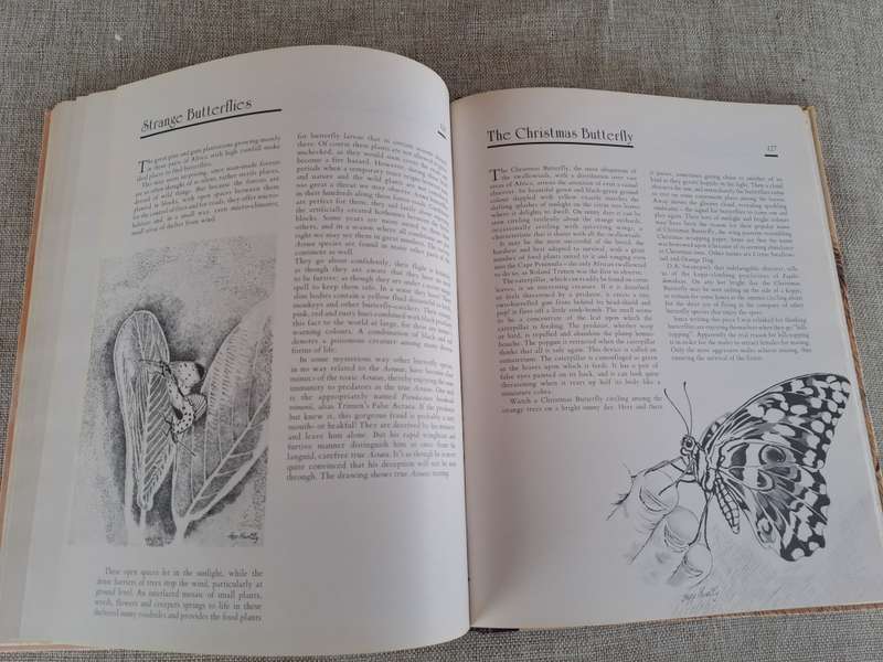 African Wildlife Sketches  Signed copy