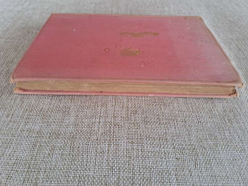 The House at Pooh Corner