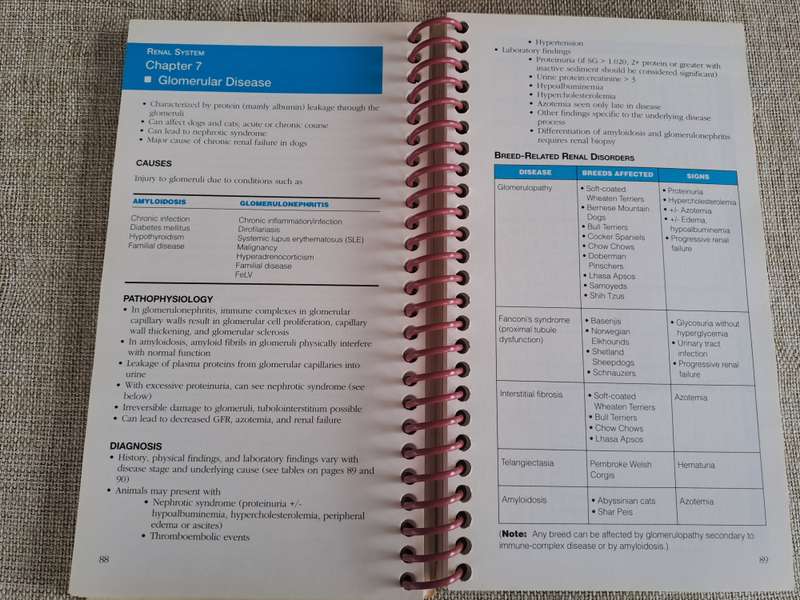 Current Concepts in Clinical Nutrition for Dogs and Cats