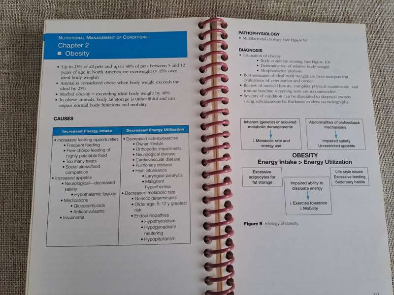 Current Concepts in Clinical Nutrition for Dogs and Cats