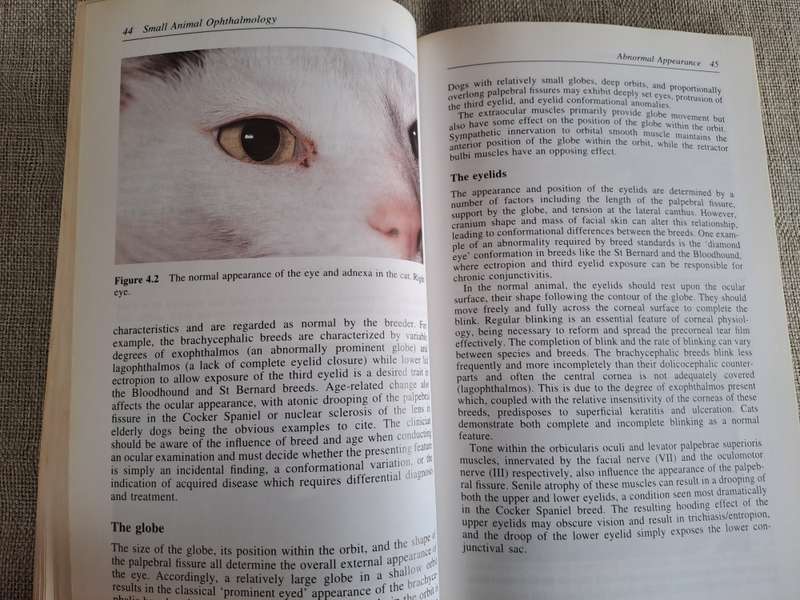 Small Animal Ophthalmology: A Problem Oriented Approach 2nd Edition