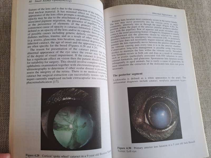 Small Animal Ophthalmology: A Problem Oriented Approach 2nd Edition