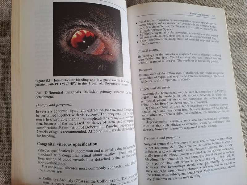 Small Animal Ophthalmology: A Problem Oriented Approach 2nd Edition
