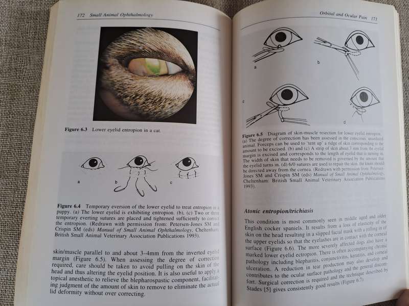 Small Animal Ophthalmology: A Problem Oriented Approach 2nd Edition